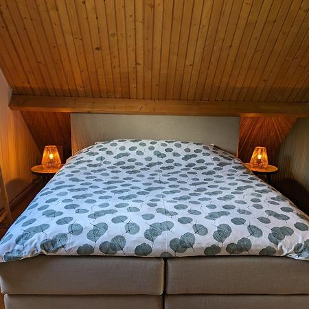 Ruime Vrijstaande Vakantiewoning Aan Veerse Meer, 6 Persoons Wolphaartsdijk Eksteriør bilde